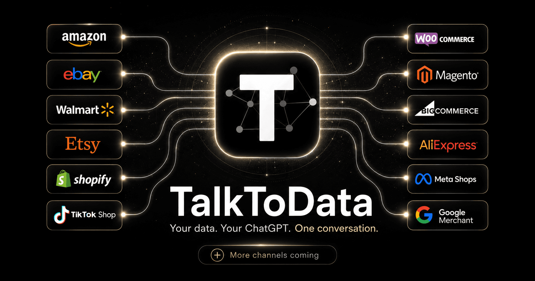 TalkToData screenshot