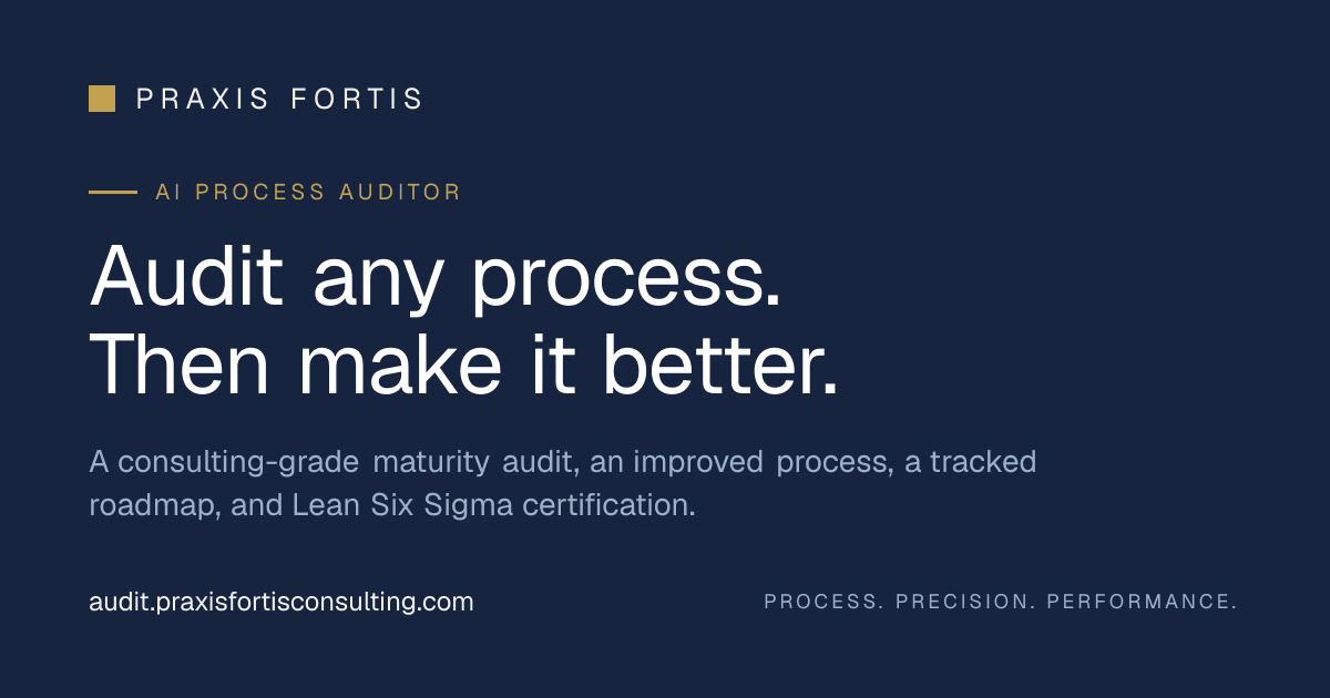 Praxis Fortis Process Auditor screenshot