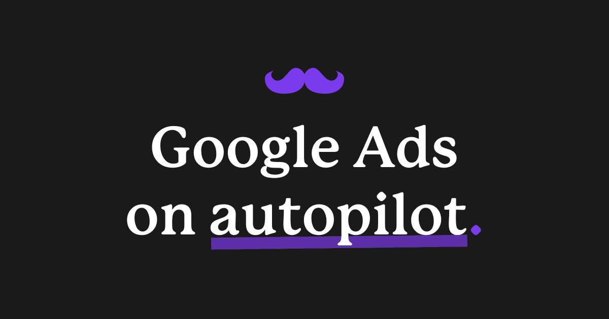 Roger • The Google Ads AI Agent screenshot